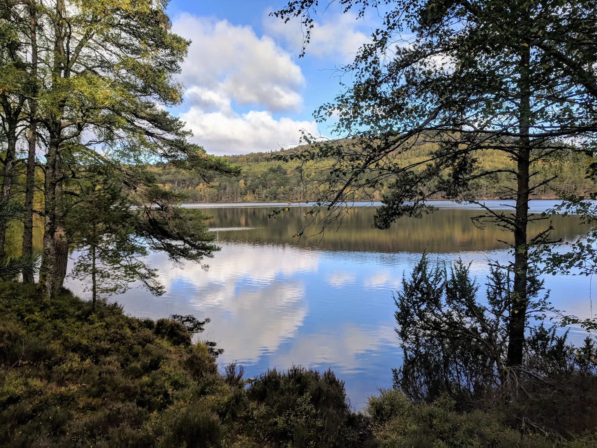 A still loch in the Cairngorms framed by Scots pine and autumnal trees — perfect reflections in the water