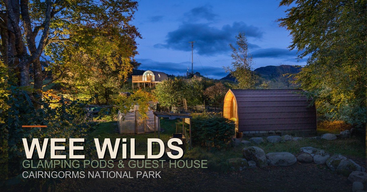 WEE WiLDS Booking screenshot 1